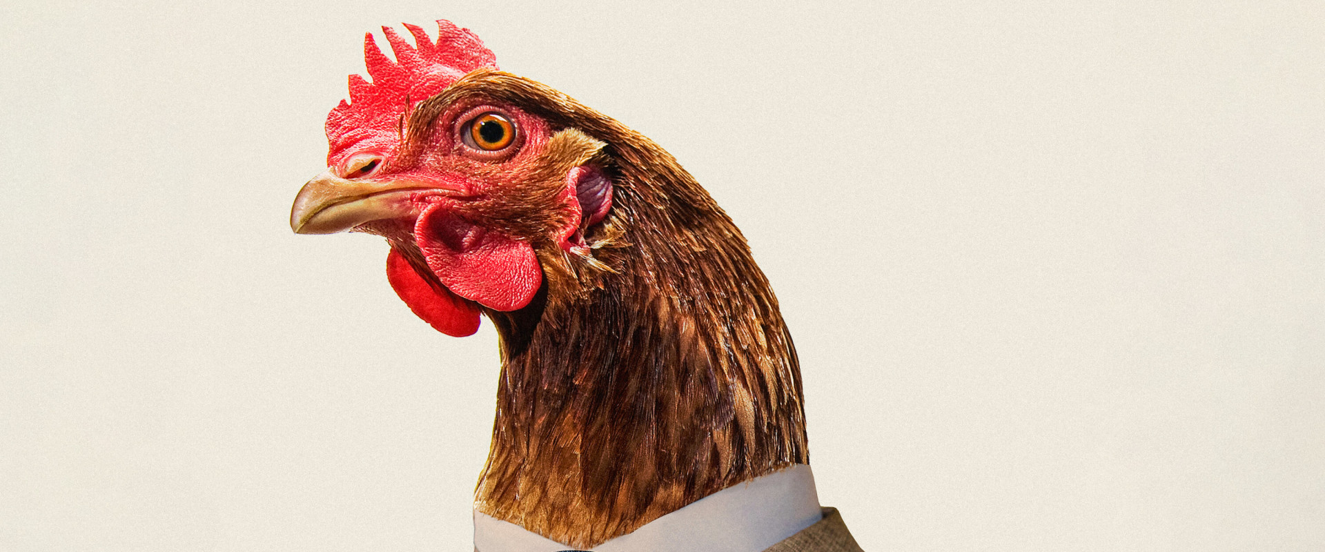 Understanding the Chicken Settlement Per Person